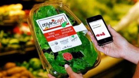 Smart packaging systems for food applications: a review 